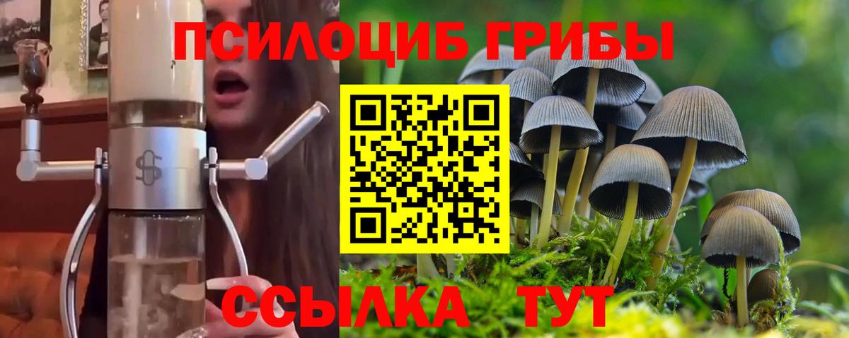 Геленджик  Галлюциногенные грибы мицелий  Вход с VPN 